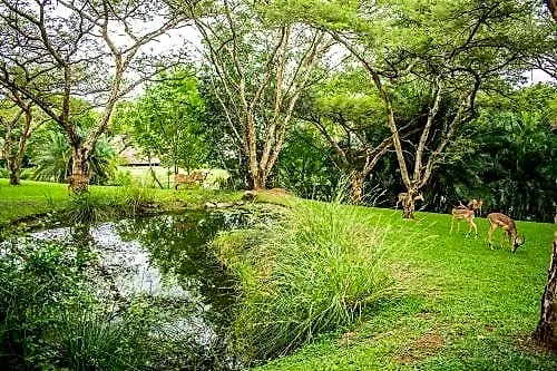 Inyamatane 227B Kruger Park Lodge
