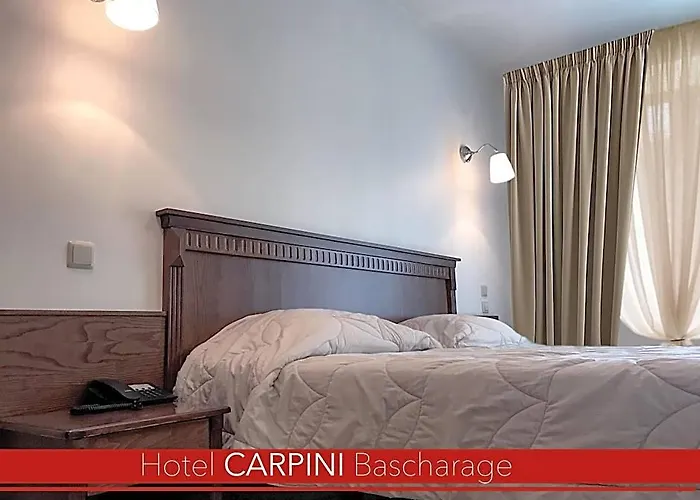 Hotel Carpini