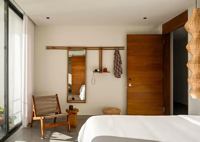 The Tryst Puerto Vallarta Lgbt Hotel