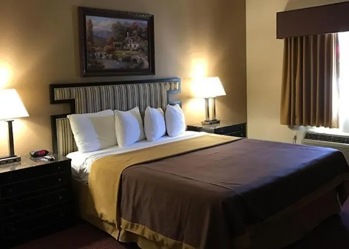 Hotel Saddleback