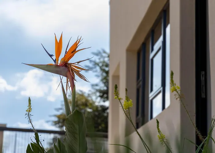 Premium Resort Group Trading As Premium Resort Guesthouse