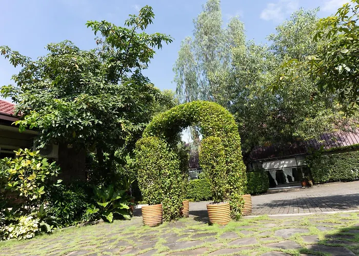 Commander Suites De Velada