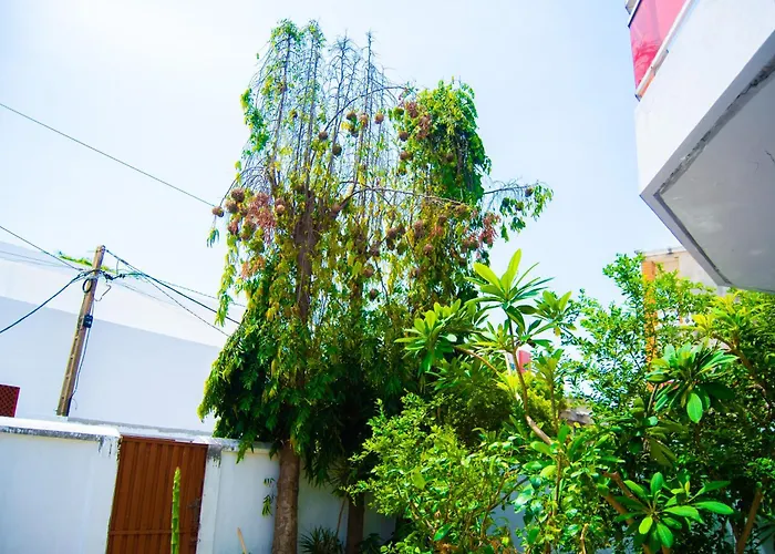 Guesthouse Chez Marco