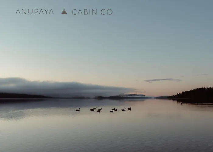 Anupaya Cabin Co