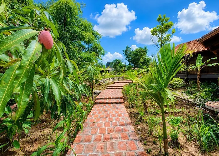 Cabalina Grove
