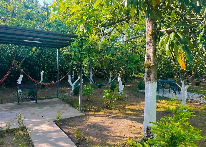 Guesthouse Flora Anaklia