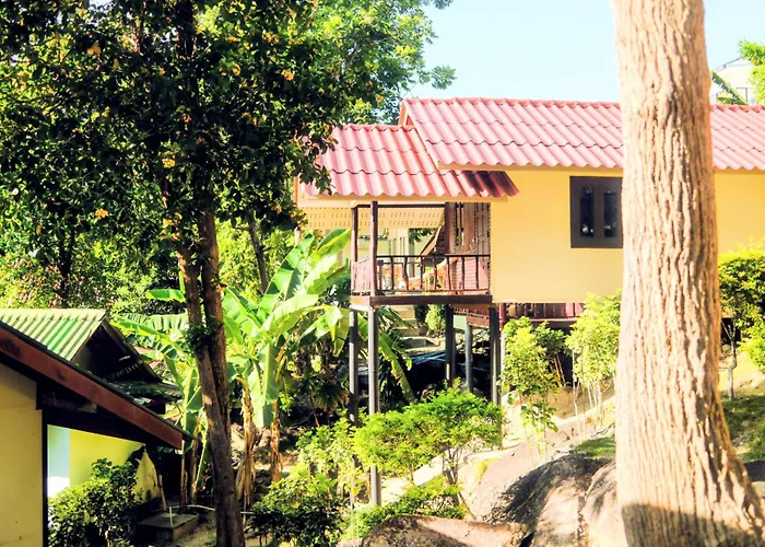 Flow Jungle Residency