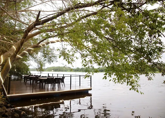 River Tree Bolgoda