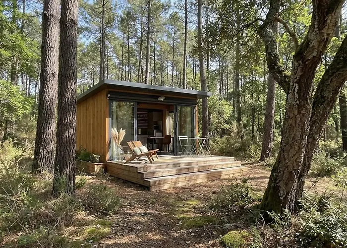 La forêt PALOMA, Ecolodge