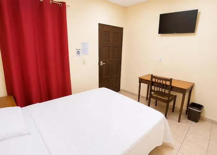 Hotel King Del Centro San Miguel