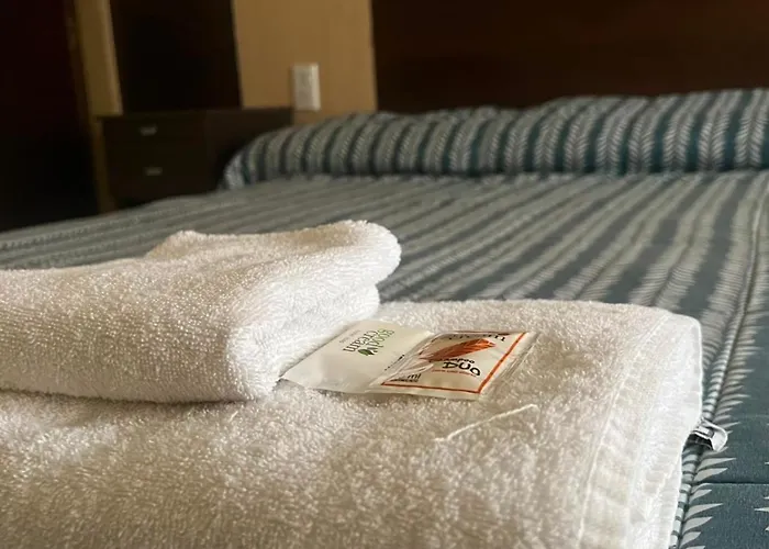 Hotel Andino
