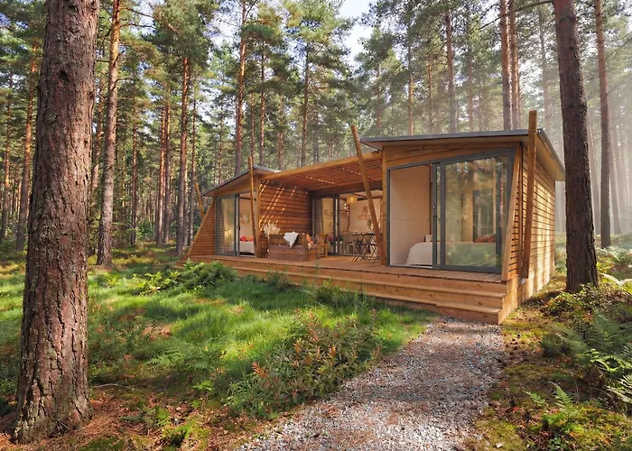La Foret Paloma, Ecolodge