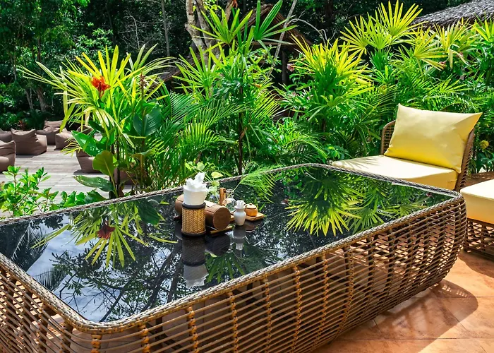 Arcana Wellness Center - Adults Only