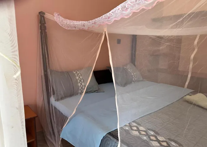 Palm Garden Guest House