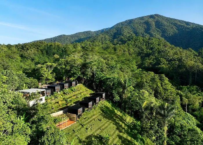 Capsul Jatiluwih - Forest View Capsules Near Jatiluwih Rice Terraces
