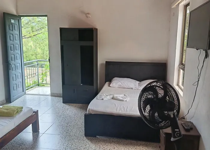 Narú