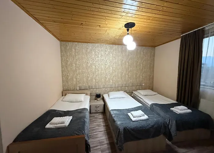 Hotel Svanseti