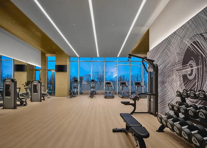 Holiday Inn Wuhan Tianhe Airport By Ihg