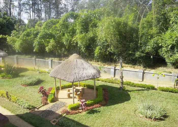 Dimi House