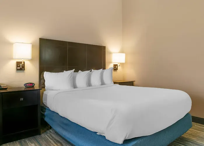 Comfort Inn&Suites Toledo North