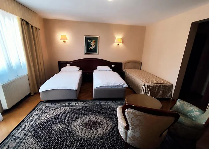 Hotel Vila Ariston
