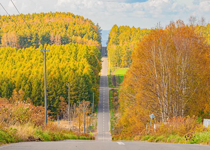 Omo7 Asahikawa By Hoshino Resorts