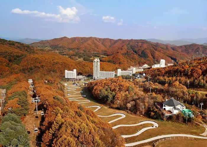 Phoenix Hotel Pyeongchang