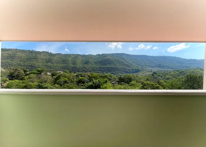 Trip Monkey del Río