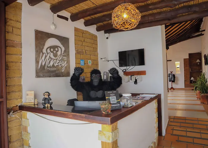 Trip Monkey Origen