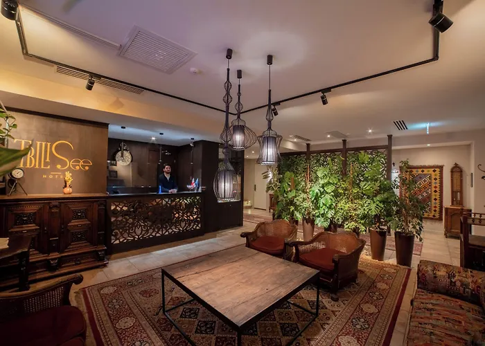TbiliSee Hotel