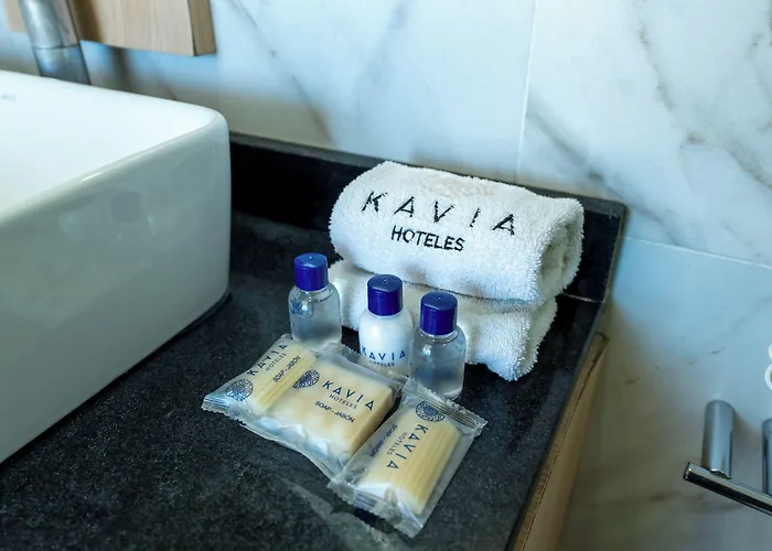 Hotel Kavia Monterrey