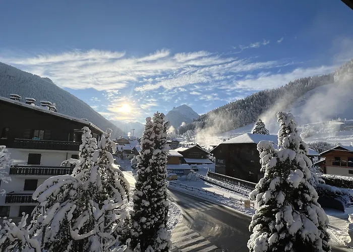 Hôtel Igloo