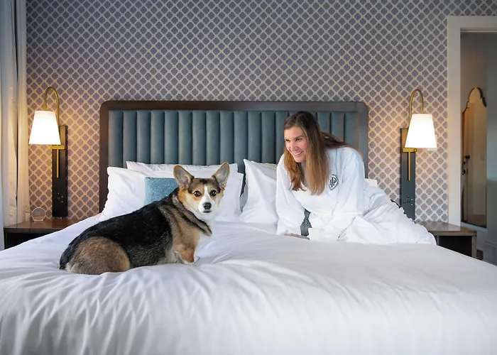 Hotel Petersburg, Tapestry Collection By Hilton