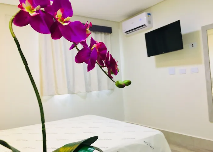 Hotel Avalon Maringa Economico