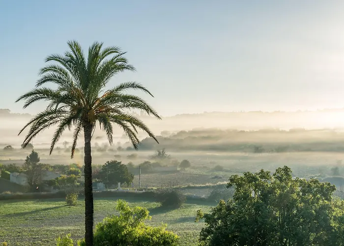 Finca Son Manera
