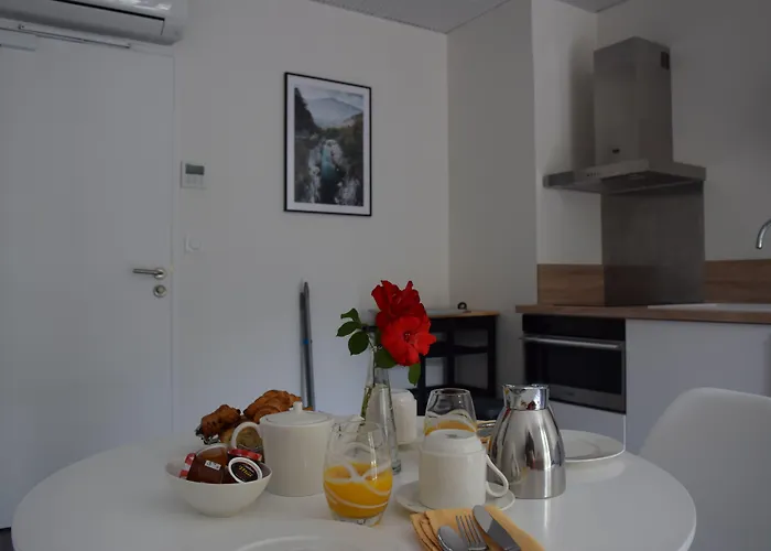 Hôtel et appartements les platanes
