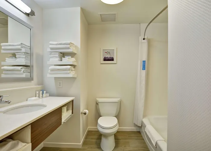 Hampton Inn Suites Ashland, Ohio
