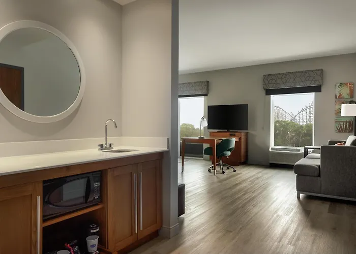 Hampton Inn & Suites By Hilton Tampa Busch Gardens Area