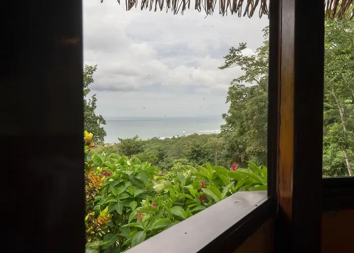 Hotel Vista De Olas
