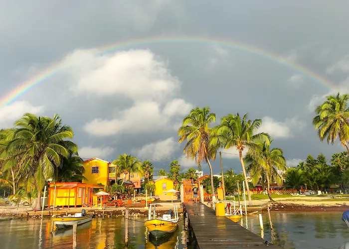 Tropical Paradise