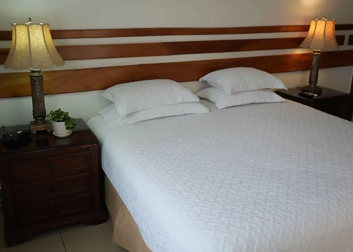 Hotel Casa Del Arbol