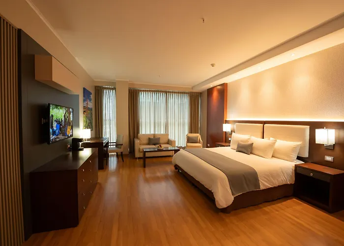 Hotel Ciudad De David