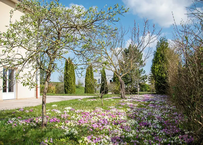 Logis Hotel Des Sources