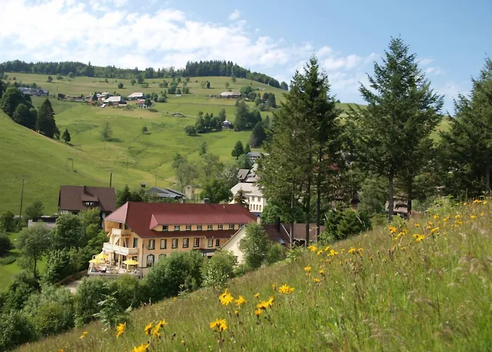 Gruener Baum Naturparkhotel & Schwarzwald-Restaurant