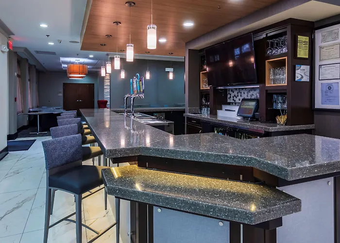 Hilton Garden Inn Atlanta South-Mcdonough