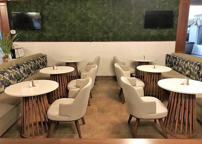 Medallion Inn And Suites