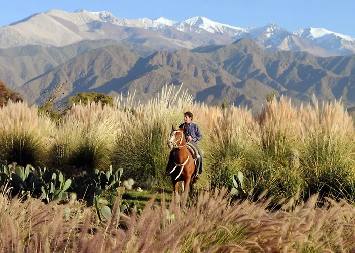 La Merced Del Alto