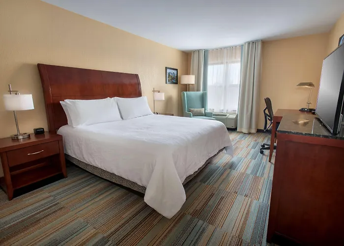 Hilton Garden Inn Albany Medical Center