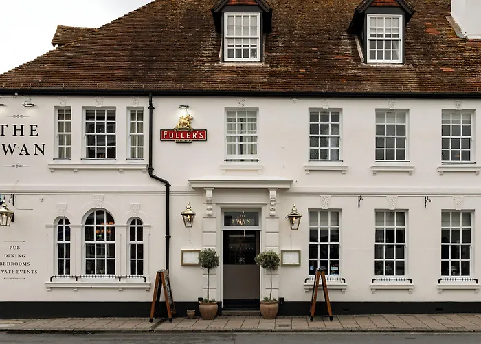 The Swan