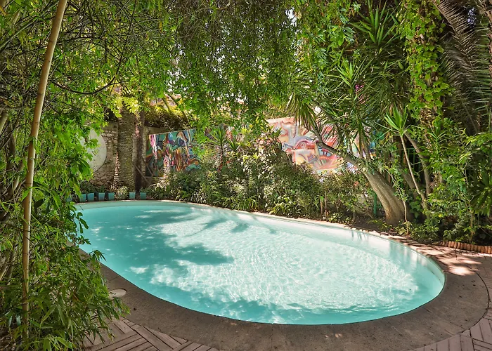 Le Windsor, Jungle Art Hotel